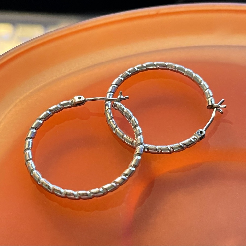✨Elegant Silver Loop Earrings
